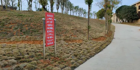 回龍圩管理區文體公園