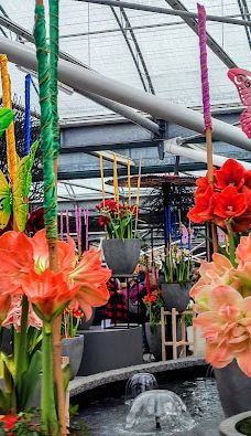 Willem - Alexander Pavilion-利瑟