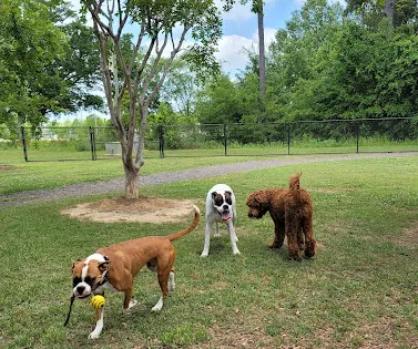 Daphne Dog Park