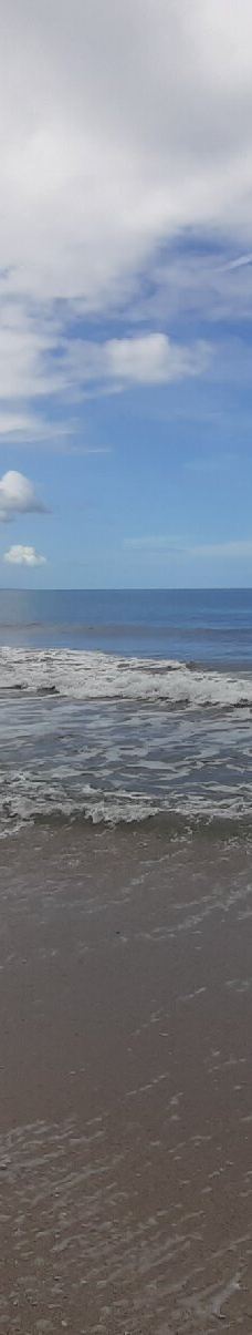 卡维塔国家公园-Talamanca