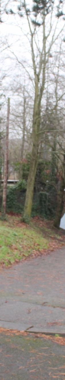 Hazelbank Park-纽敦阿比