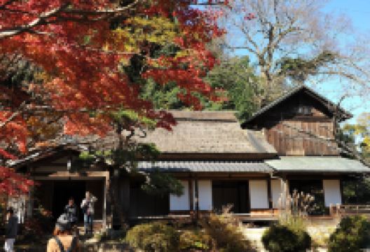 近水园景点图片