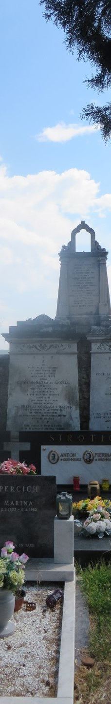 Motovun cemetery-莫托文