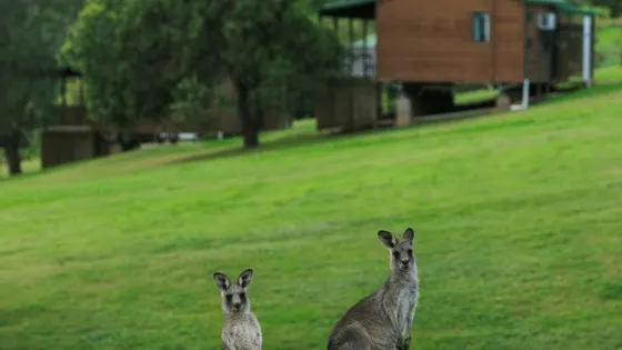 Lake Glenbawn State Park