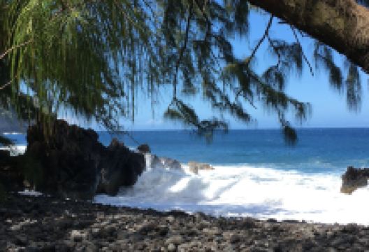 Laupahoehoe Beach Park景点图片