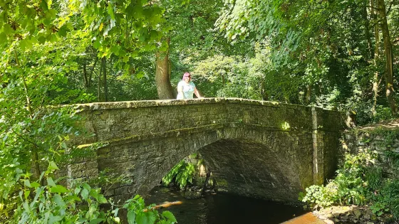 Rivelin Valley Nature Trail
