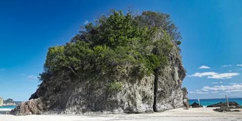 吉佐美大浜海水浴場