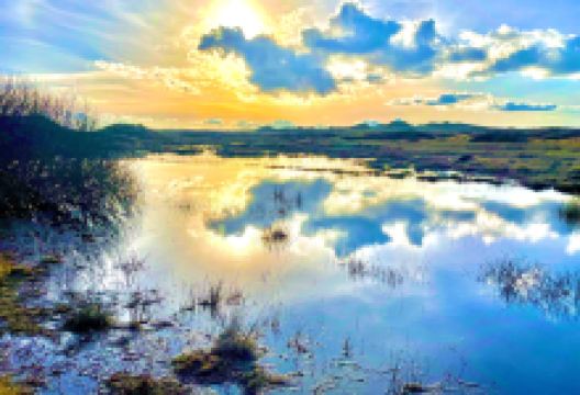 Forvie National Nature Reserve景点图片