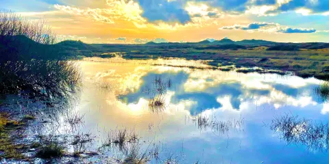 Forvie National Nature Reserve