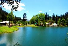 Dodi Tal Lake景点图片