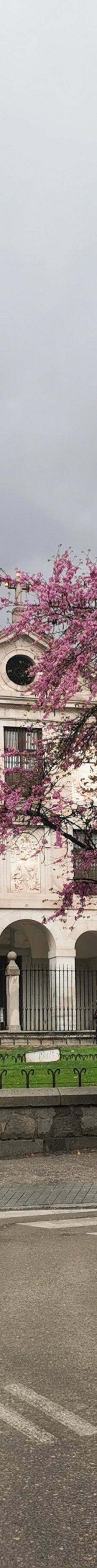 王室化身修道院-马德里