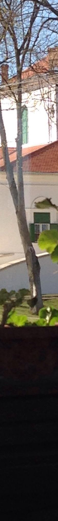 Mures-Bréda Castle-勒克什哈佐