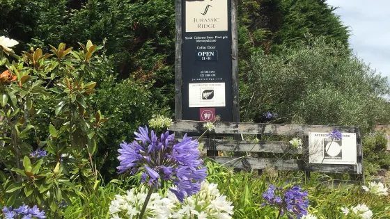 Jurassic Ridge Vineyard
