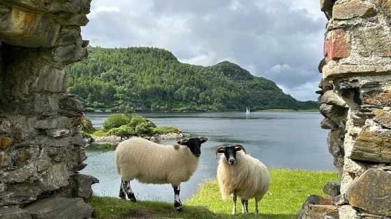 Strome Castle