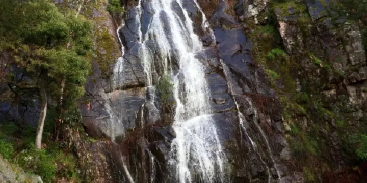 Clematis Falls