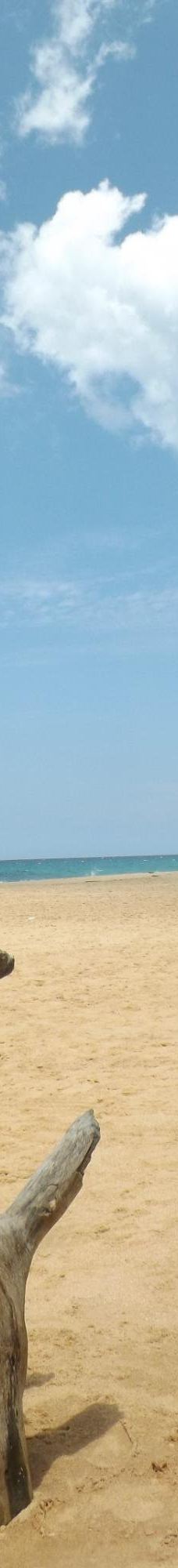 Narigama Beach-希克杜沃