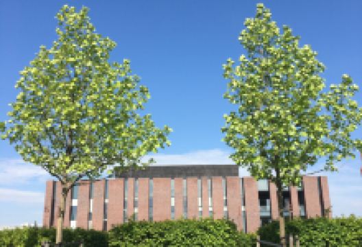 District of Culture (Strefa Kultury)景点图片