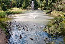 Park Staszica景点图片