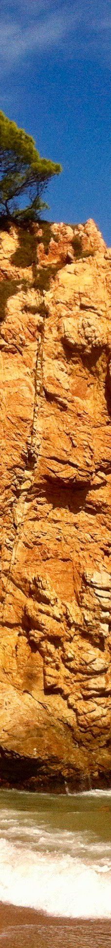 L'illa Roja-巴古尔