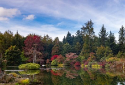 Jardin Botanique de Gondremer景点图片