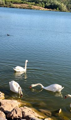 Grajera Park-洛格罗尼奥