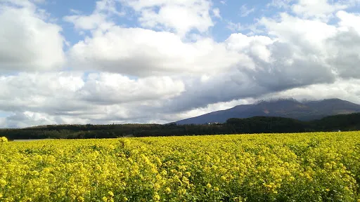 Midorigaoka Park