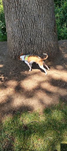 Forest Glen Park-森特勒尔波因特