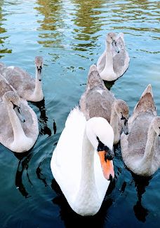 维多利亚公园-贝尔法斯特