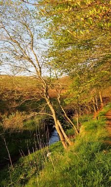 Sankt knuds Kilde-约灵