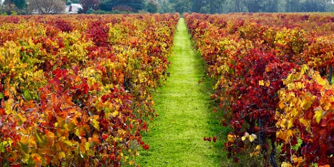 Lake Moodemere Estate