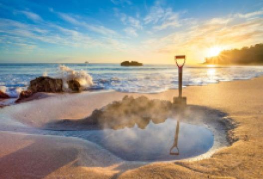 Coromandel Shelly Beach TOP 10 Holiday Park景点图片