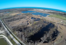 Fort Gratiot Wetland Area景点图片