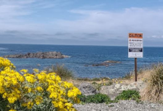 Ocean Beach Freedom Camping景点图片