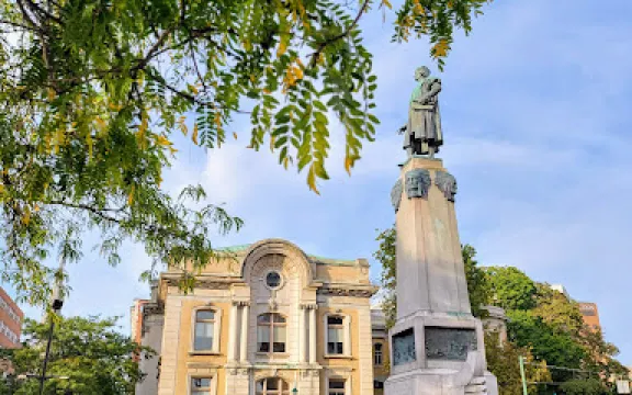 The Cathedral of the Immaculate Conception