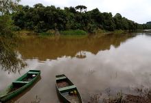Porto de pesca de Santos景点图片