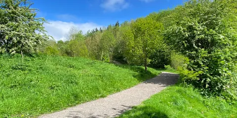 Astbury Mere Country Park