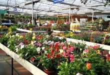 Centro de Jardinería Gondra购物图片