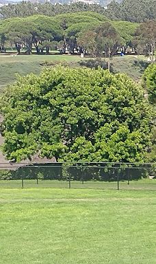 Doris Walker Overlook-达纳点