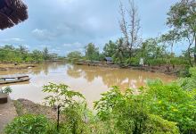 Vam Ho Bird Sanctuary景点图片