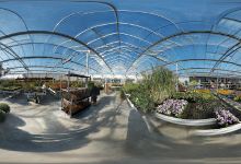 Garden Abeels购物图片