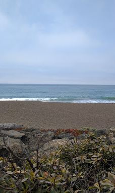 Shamel Park-坎布里亚