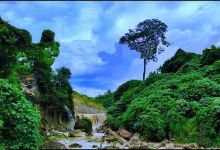 Air Terjun Kedunggupit景点图片
