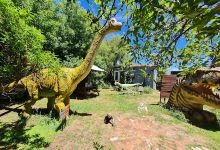 Dinosaur House景点图片