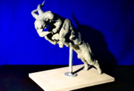 West California Academy of Art and Design景点图片