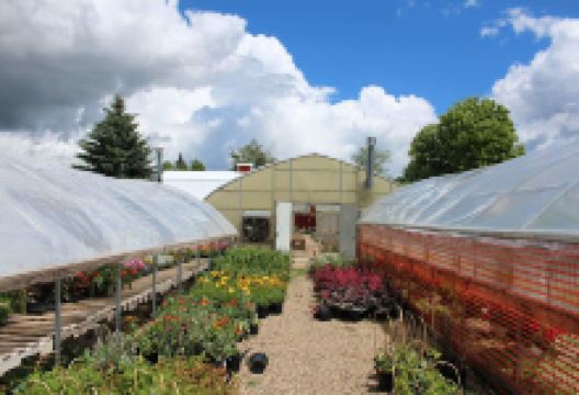 Gage's Gardens购物图片