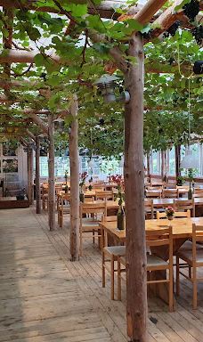 Vingaarden, Lille Gadegaard ( Vineyard )-阿克尔科拜