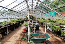 Park House Nurseries购物图片