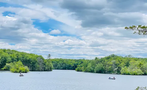 Pachaug State Forest