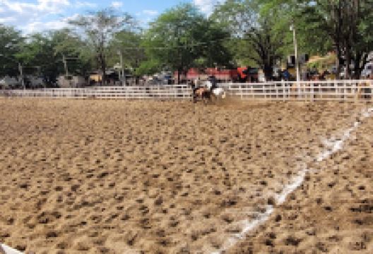 Parque Haras Vila Cowtry景点图片