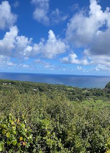 Ko'olau Forest Reserve-茂宜县